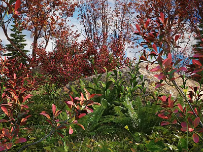 Red Leaf Shrubs in Mountain Forest Natural Setting with Ferns and Greenery Under Blue Sky 3d model