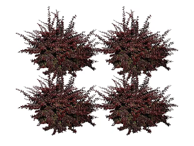Bushy Deep Red Leaf Shrubs For Garden Landscaping And Decoration 3d model