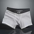 Men's Gray Trunks Underwear with Black Waistband and White Logo Design