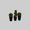 Ornamental Plant Set For Home Decor With Black Pots Spherical Spiral Green Plants