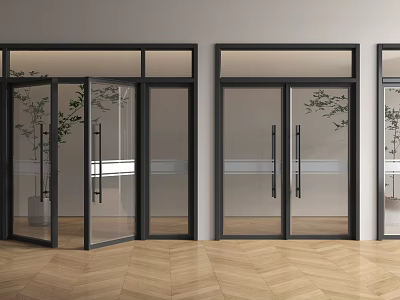 Double Glass Doors With Black Frame In Modern Interior With Wooden Floor And Green Plants 3d model