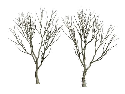 Tree Pit With Two Leafless Trees Showing Bare Trunks And Branches 3d model