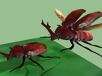 Red Horned Flying Beetles with Spread Wings and One on Green Surface 3d model
