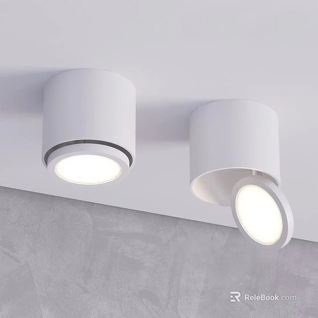 White Modern Downlights And Spotlights With Adjustable Angle Ceiling Mounted Lighting 3d model 
