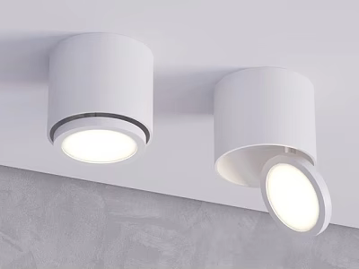 White Modern Downlights And Spotlights With Adjustable Angle Ceiling Mounted Lighting 3d model