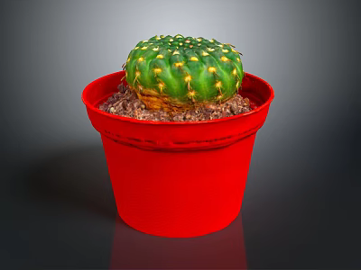 Decorative Green Cactus Houseplant With Yellow Spines In Red Pot And Brown Pebbles 3d model