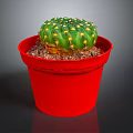 Decorative Green Cactus Houseplant With Yellow Spines In Red Pot And Brown Pebbles