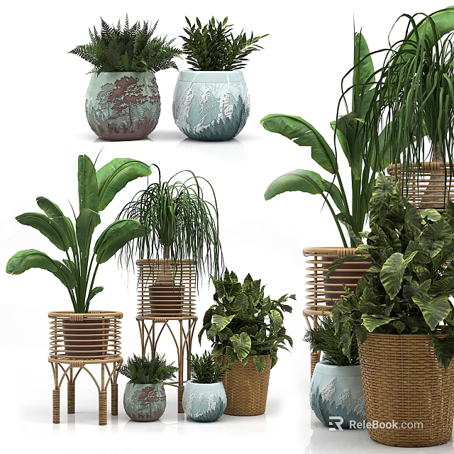 Decorative Ornament Set With Assorted Green Plants And Woven Ceramic Flower Pots 3d model 