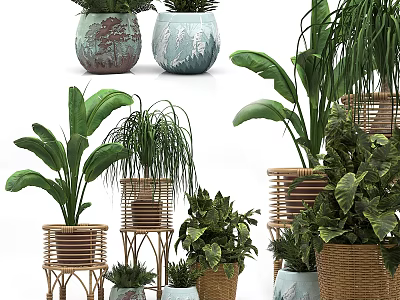 Decorative Ornament Set With Assorted Green Plants And Woven Ceramic Flower Pots 3d model