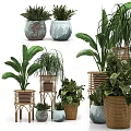 Decorative Ornament Set With Assorted Green Plants And Woven Ceramic Flower Pots