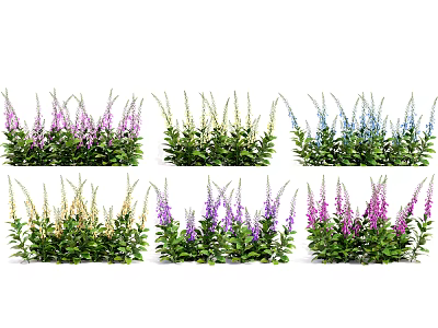 Colorful Flowering Plants in Purple Blue Yellow Pink with Green Leaves 3d model