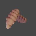 Two Pink Detailed Segmented Biological Larvae 3D Rendered On Gray Background 3d model