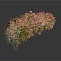 Vibrant Flower Box With Pink Red Yellow Blooms And Trailing Green Leaves