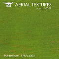 Lush Green Grass Natural Outdoor Landscape With Fresh Texture And Details