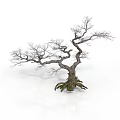Leafless Tree With Twisted Trunk And Exposed Roots On White Background 3d model