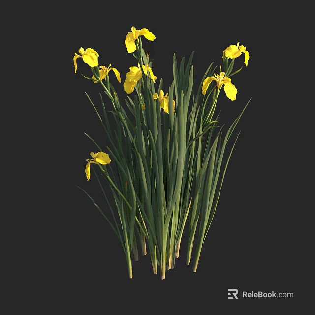 Aquatic Plants With Yellow Flowers And Long Green Leaves In Water 3d model 