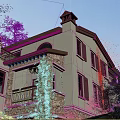Charming Detached Villa With Brown Roof Stone Exterior And Climbing Plants Surrounded by Trees