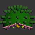 Human Hair Organ Structure With Follicle Cells And Growth Components