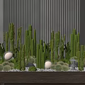 Various Cactus Bonsai Potted Plants with Small Stones Decorative Lanterns and Illuminated Lights