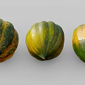 Three Fresh Green And Yellow Striped Squash Vegetable Arranged On Gray Background