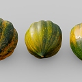 pumpkin old pumpkin vegetable zucchini 3d model