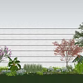 Arbor Trees With Red Green Leaves Purple Flowers White Wall Blue Sky and Green Lawn