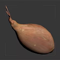 Fresh Whole Orange Red Onion on Dark Background with Natural Shine