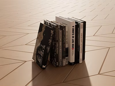 Neatly Stacked Books and Magazines on Wooden Floor with Varied Covers 3d model