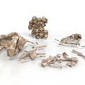Ancient Fossilized Bone Fragments And Skeletal Structures On White 3d model