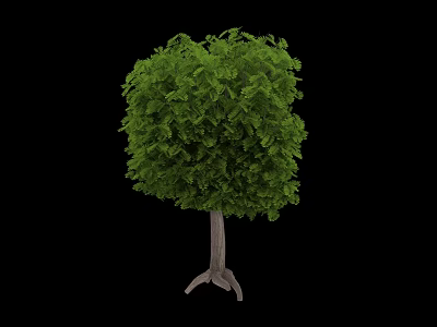 Lush Green Tree With Dense Canopy Trunk And Exposed Roots 3d model