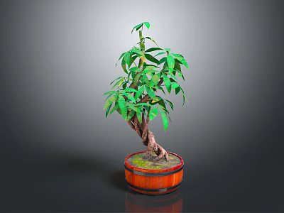 Potted Indoor Plant With Green Leaves And Forked Trunk In Wooden Barrel Planter 3d model