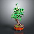 Potted Indoor Plant With Green Leaves And Forked Trunk In Wooden Barrel Planter