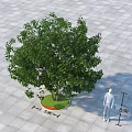 Lush Arbor Planted On Square Tiled Ground With Circular Green Area 3d model