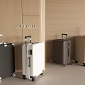 Stylish Black White Dark Gray And Beige Suitcases On Wooden Wall With Mineori Shelf