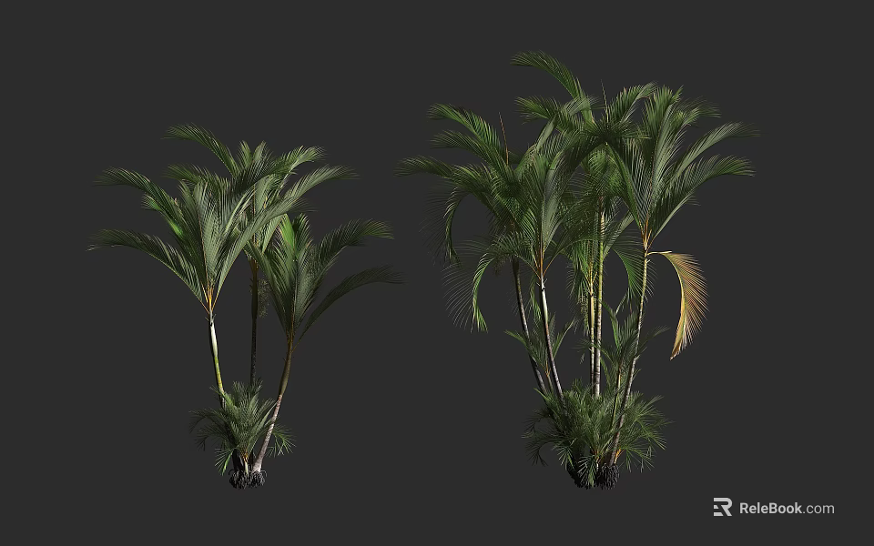 Lush Palm Bushes With Green Fronds And Varying Sizes On Dark Background 3d model 