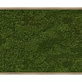 Green Moss Wall Decor with Natural Wooden Frame for Indoor Spaces