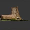 Natural Tree Stump And Log Scene With Green Grass And Detailed Texture