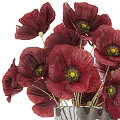 Elegant Decorative Ornament Set With Red Poppy Flowers And Transparent Glass Vase For Home Decor