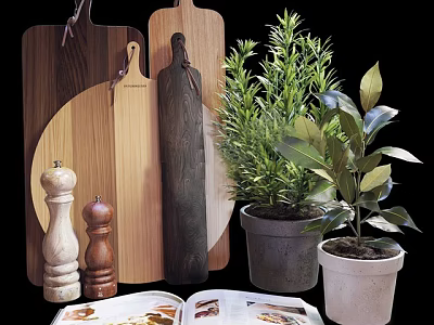 Stylish Decorative Ornament Set With Wooden Boards Pepper Grinders Potted Plants And Open Book 3d model