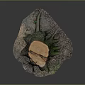 Natural Wooden Stump with Cut Section and Moss Covered Stone Base Texture