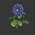 Vibrant Blue Flower Plant With Layered Purple Center and Green Shiny Leaves Against Dark Background