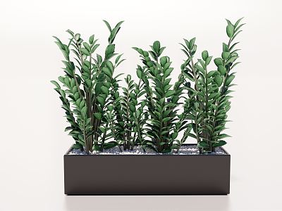 modern potted plant green plant potted plant model