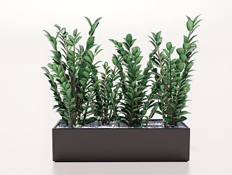 modern potted plant green plant potted plant 3d model