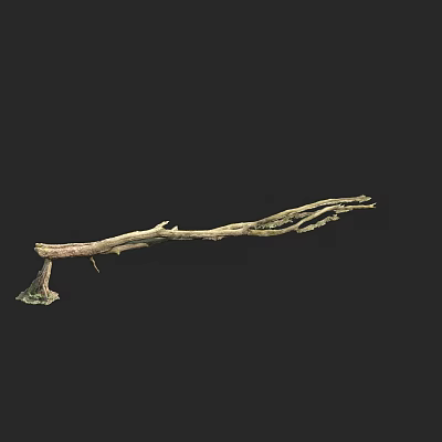 tree trunk wood dead wood dead tree 3d model tree trunk wood dead wood dead tree 3d model