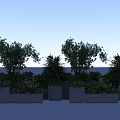 Bonsai Potted Plants in Gray Concrete Pots with Various Green Foliage and Lush Leaves
