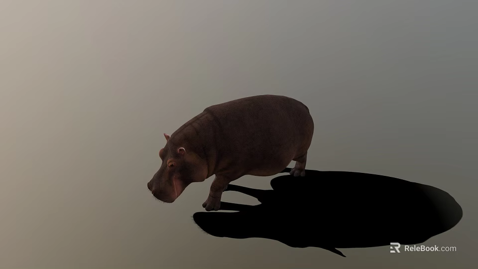 Realistic Hippopotamus Figure Standing Still With Long Shadow On Gray Background 3d model 
