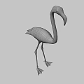 Full Body View Of Pink Flamingo Standing On Long Legs With Neutral Gray Background