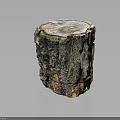 Natural Wooden Tree Stump Decorative Piece Featuring Bark Texture And Visible Growth Rings For Home Decor