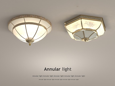 French ceiling lamp model