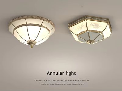 French ceiling lamp 3d model